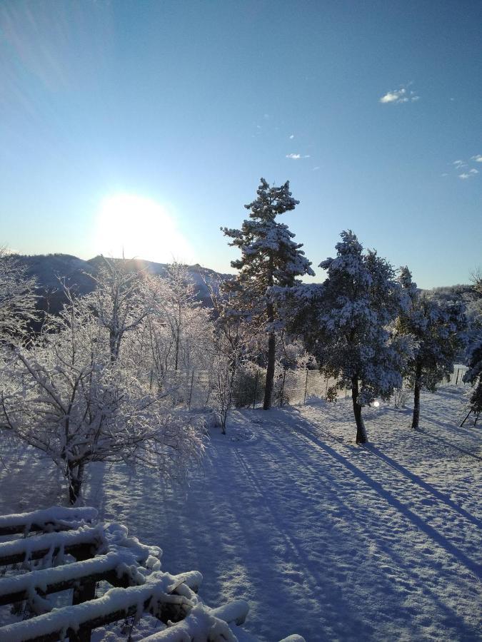 Dovadola B&B Il Sogno المظهر الخارجي الصورة