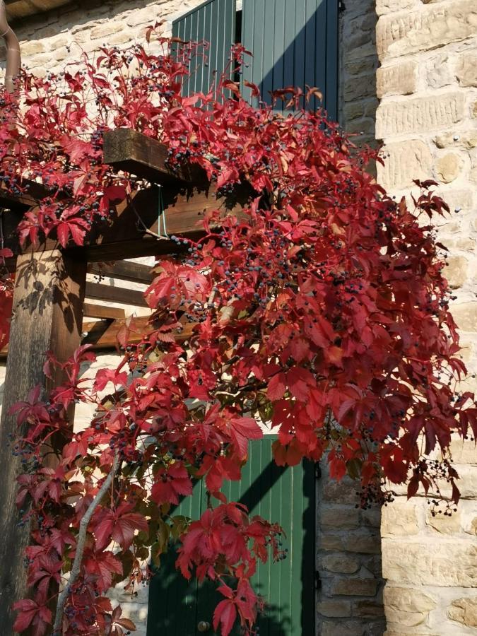 Dovadola B&B Il Sogno المظهر الخارجي الصورة
